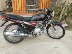 Yamaha YB 125Z 2019