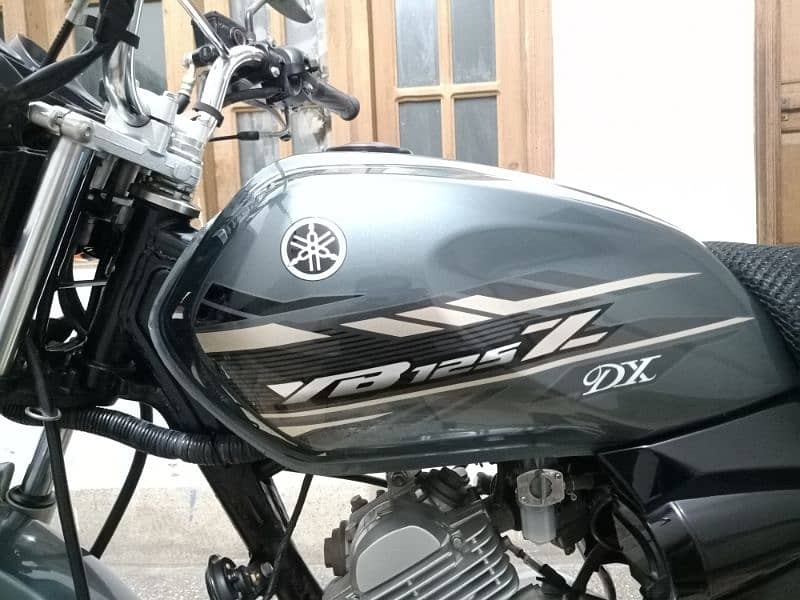 YAMAHA YB 125Z DX GRAY 2023 0