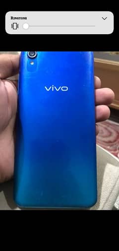 vivo