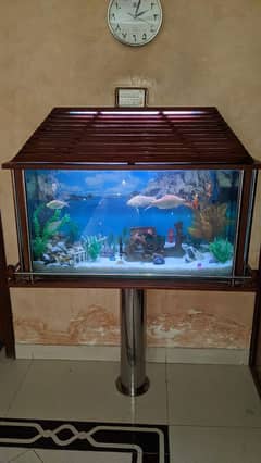 Fish Aquarium