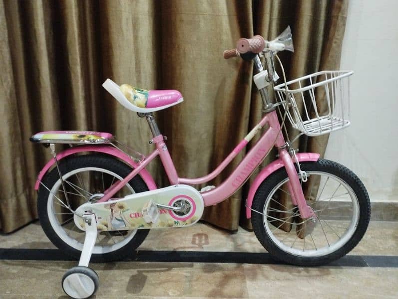 Pink Bicycle for girls 0