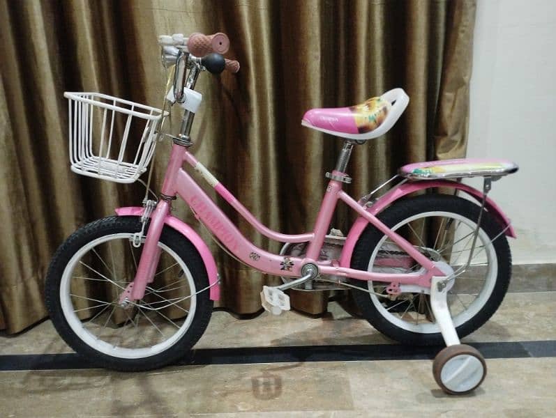 Pink Bicycle for girls 1