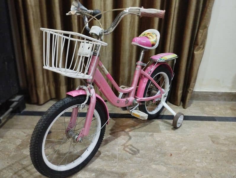 Pink Bicycle for girls 2