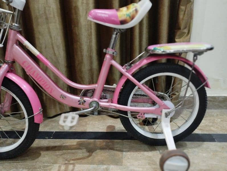 Pink Bicycle for girls 3