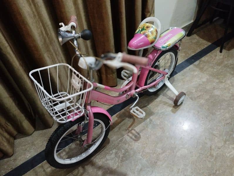 Pink Bicycle for girls 5