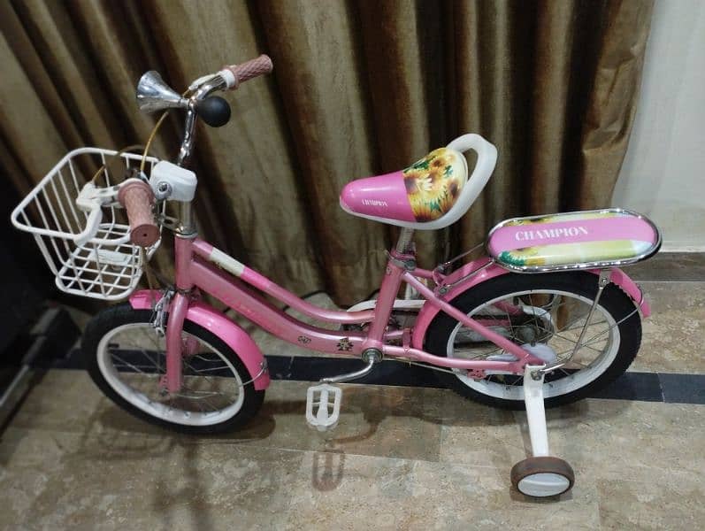 Pink Bicycle for girls 6