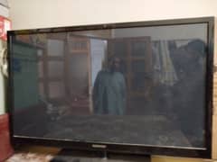 Samsung Plasma LCD