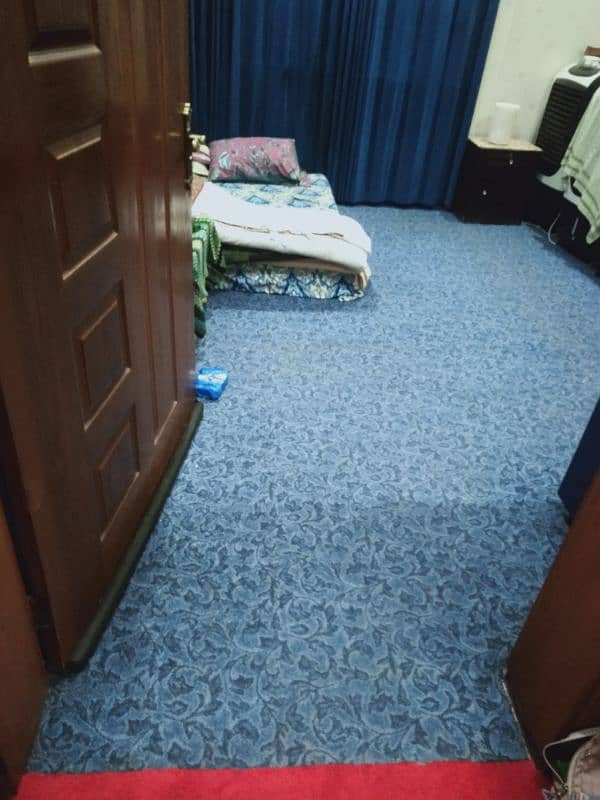 Used Carpet 2