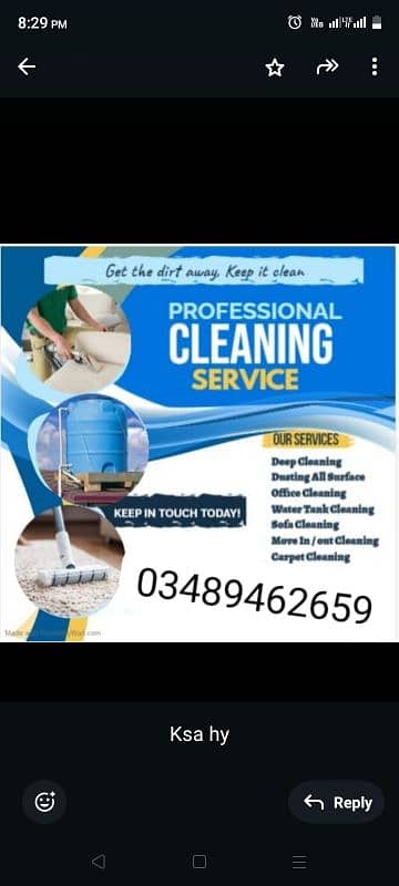 professional cleaning services 0