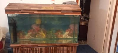 Big size aquarium with motor and other decoration accessories