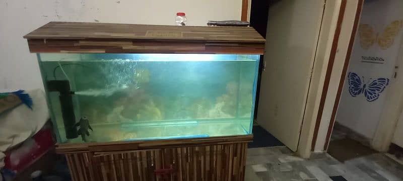 Big size aquarium with motor and other decoration accessories 3