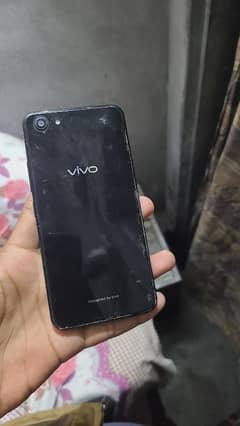 vivo