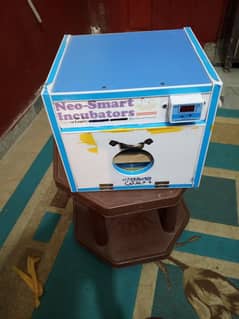 incubator for sale