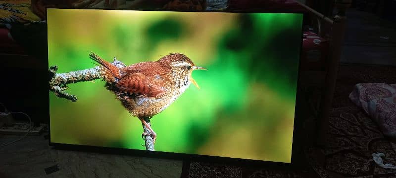 55 inch LED 1