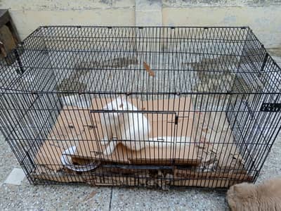 Heavy thick wire 13kg big cafe for pets
