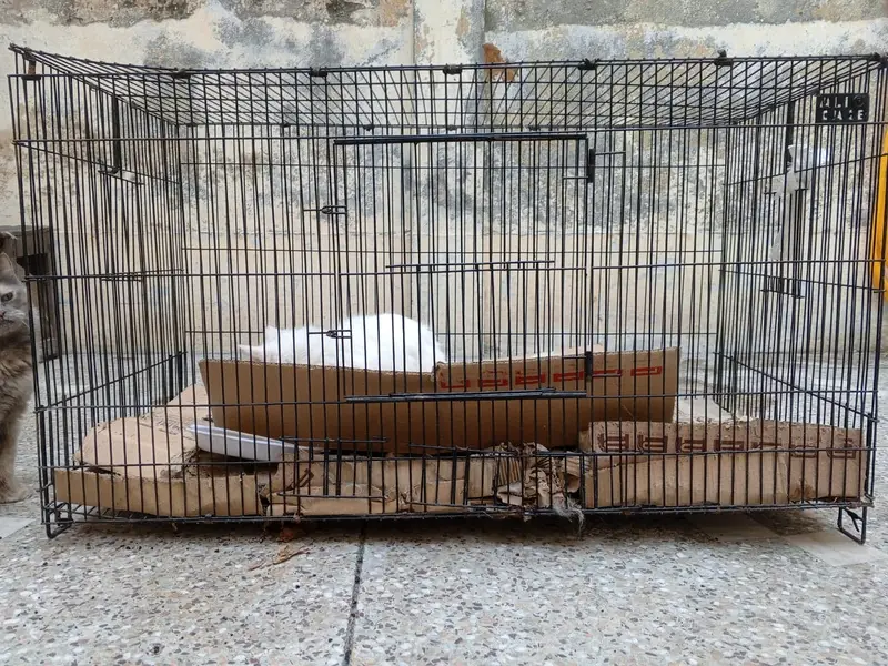 Heavy thick wire 13kg big cafe for pets — photo 2