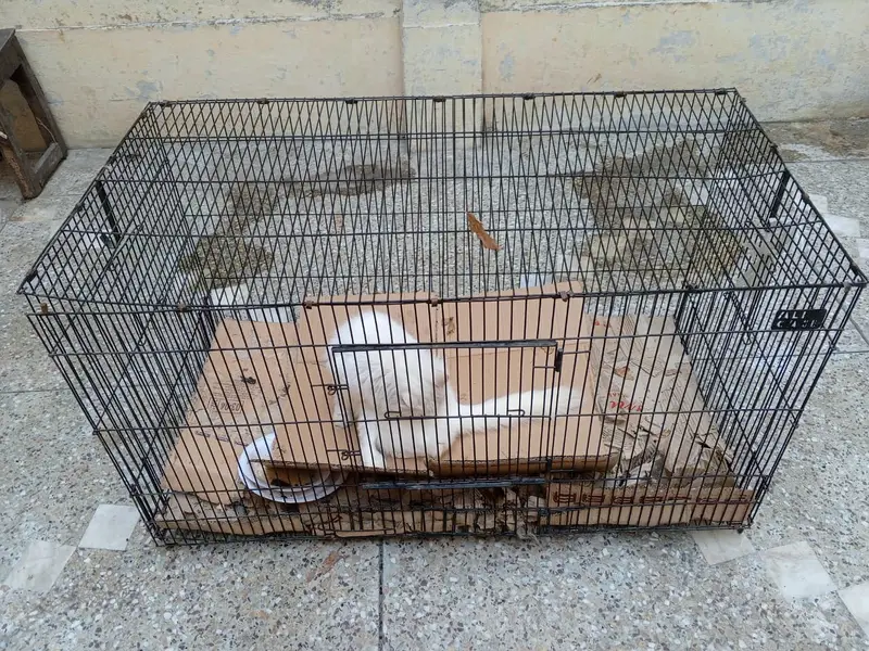 Heavy thick wire 13kg big cafe for pets — photo 6