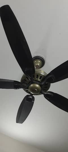 SK ceiling fan for sale