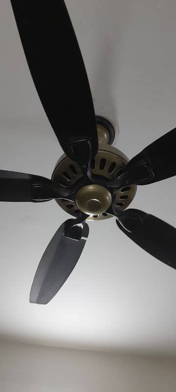 SK ceiling fan for sale 2