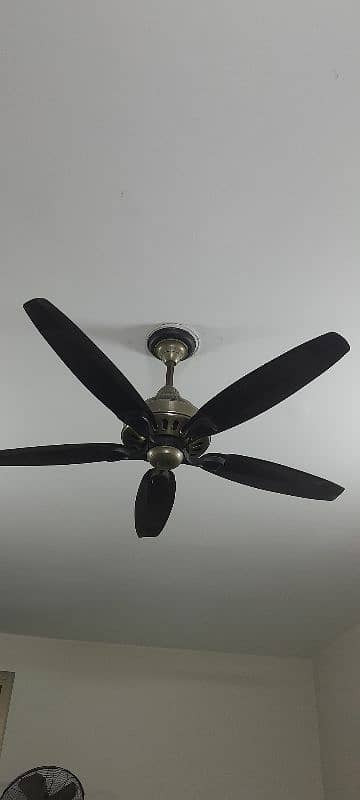 SK ceiling fan for sale 4