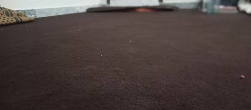 Full chocolate color carpet with carpet foarm for sale 0