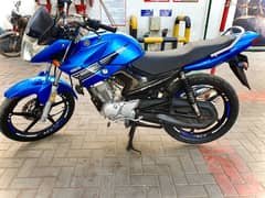 YAMAHA YBR 125 ||outclass condition|| no:0/3/1/9/6/4/0/8/0/0/4