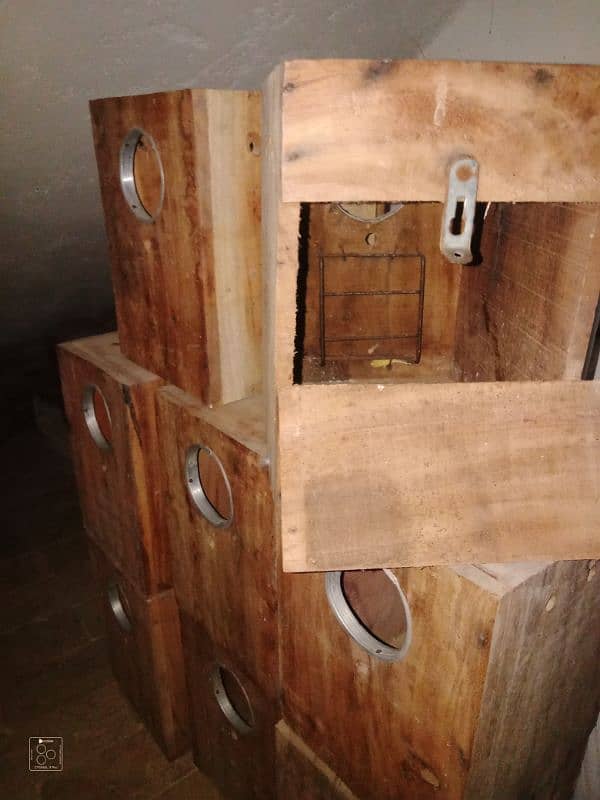 breeding box in love birds sale 1