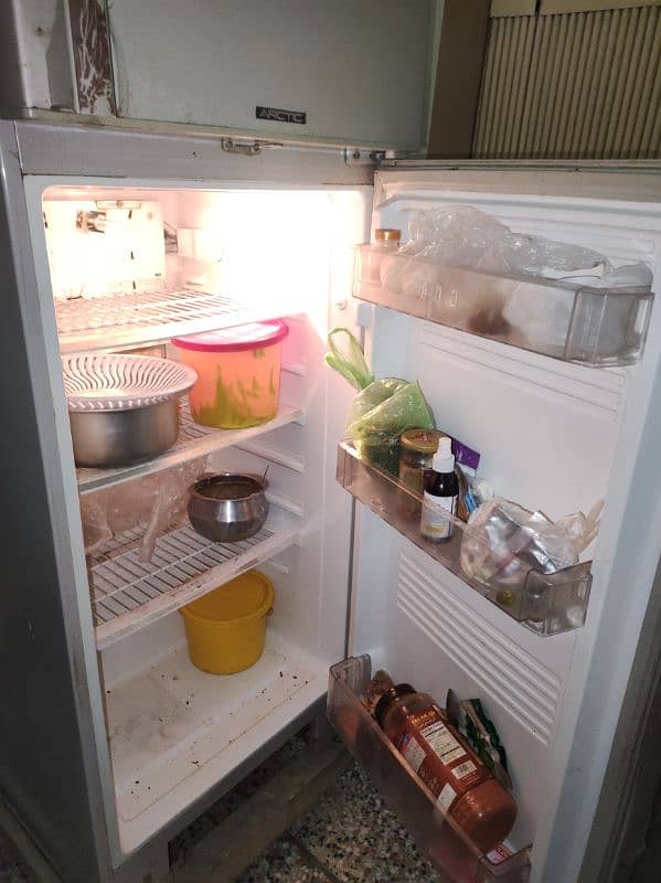 PEL Refrigerator 2