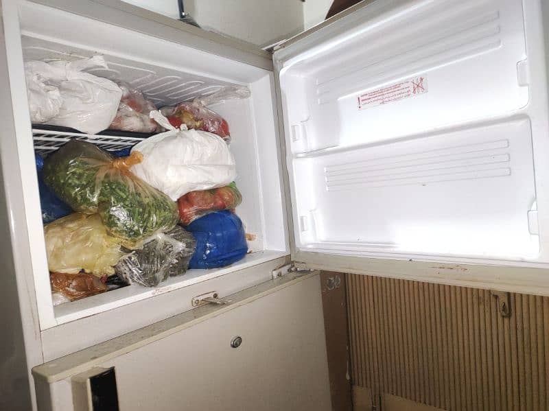 PEL Refrigerator 3