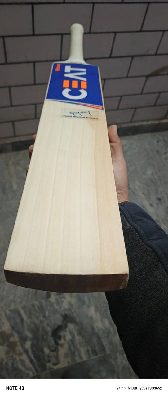 English willow Hard bat 0