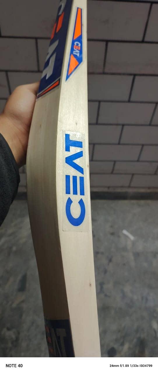 English willow Hard bat 1