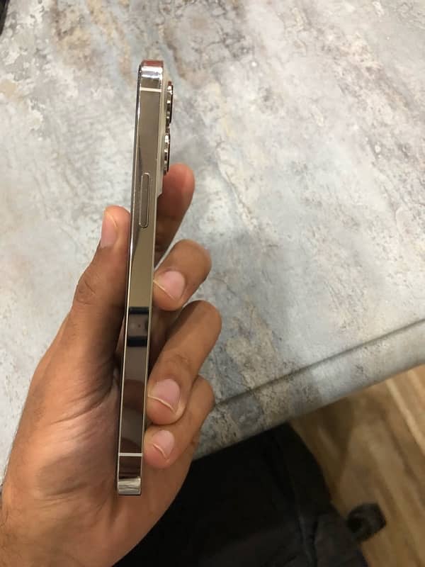 IPhone 13 Pro 256gb factory unlock (HK) 2