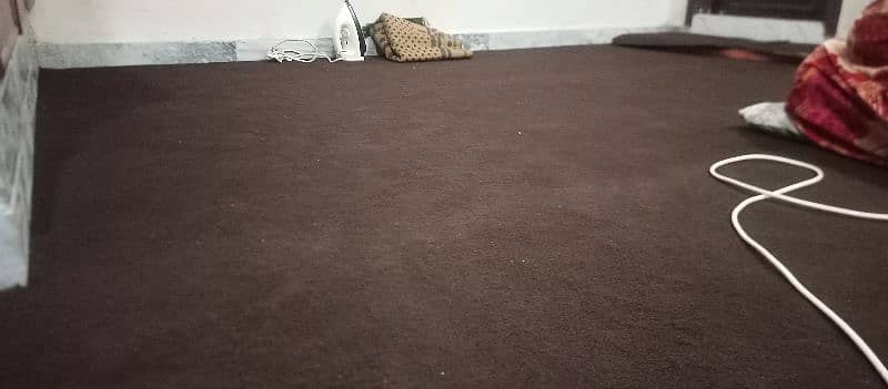 Full chocolate Color Carpet for sale 2