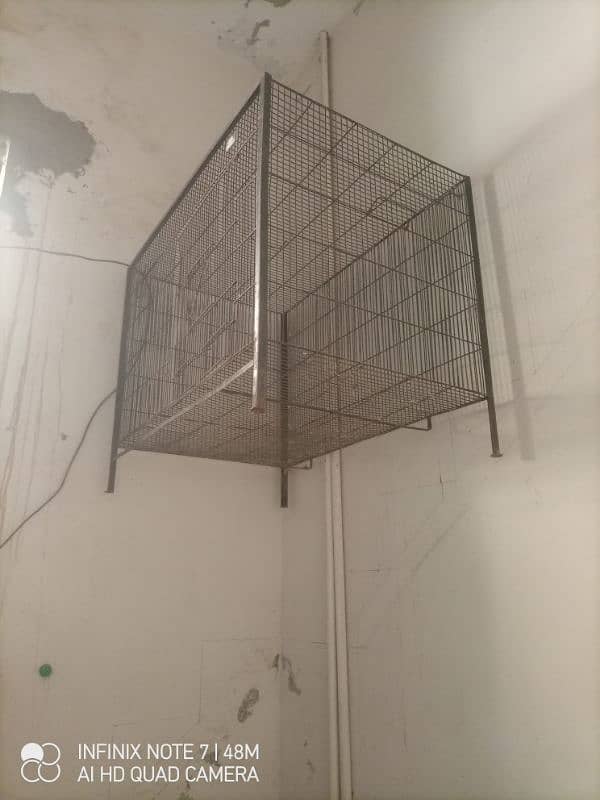 bird cage 1