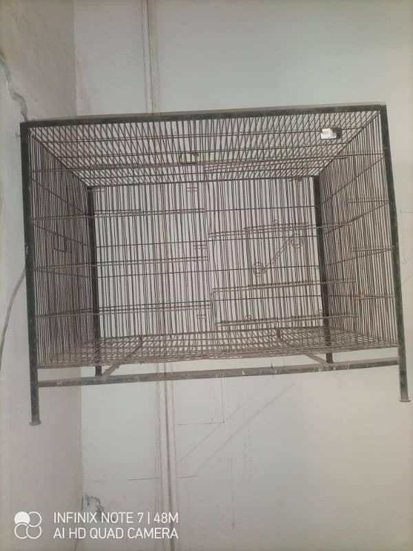 bird cage 2