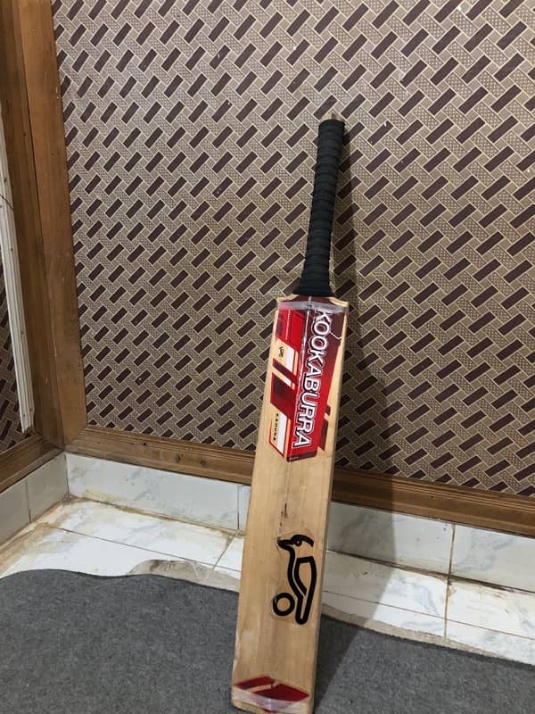 Hard ball cricket Bat 0