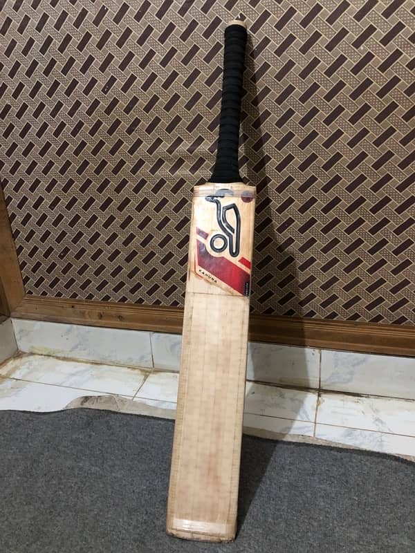 Hard ball cricket Bat 1