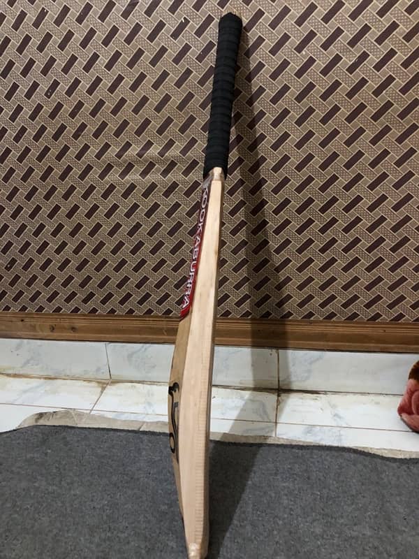 Hard ball cricket Bat 2