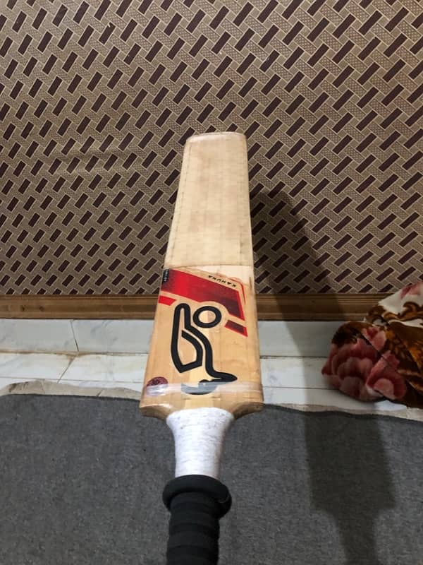 Hard ball cricket Bat 6