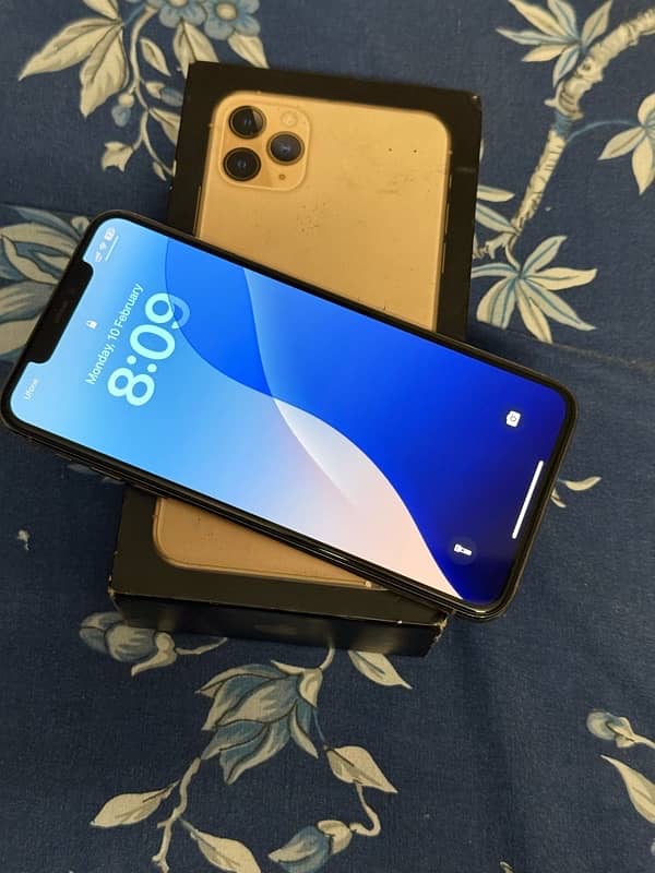 Iphone 11 Pro Max 256GB Memrey Pta Approved 1