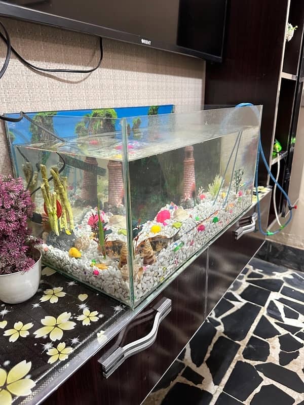 aquarium/Fish tank 2