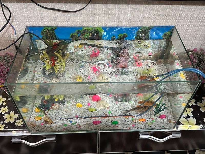 aquarium/Fish tank 6