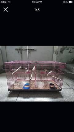 folding cage with love birds for sale