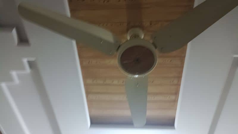 ceiling fans 0