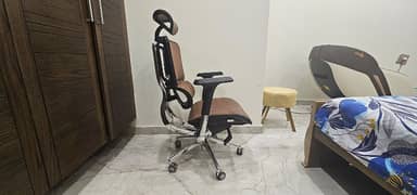 Executive Ergonomic Chair