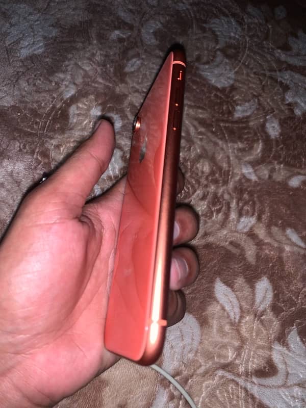 iPhone XR 1