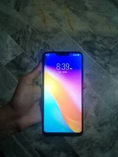 vivo