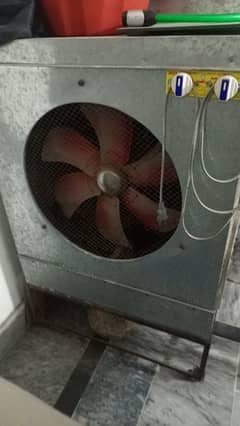 Air cooler