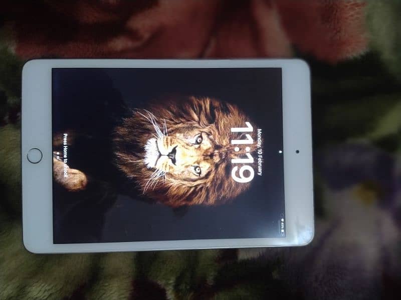 ipad mini 5 64 GB 4