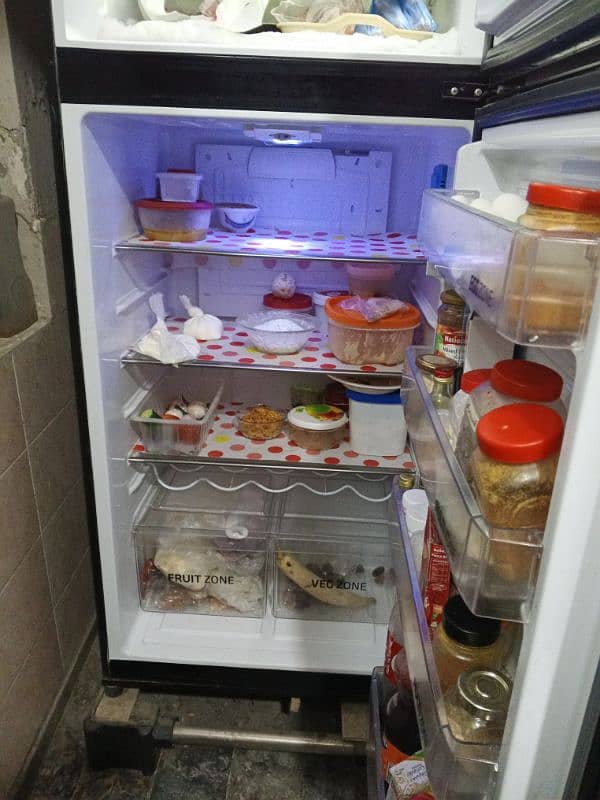 Full size refrigerator of PEL 1